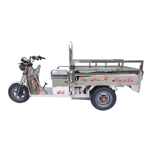 Triciclo de Carga Certificado de 1000w, Vehículo Familiar para Adultos, para Pasajeros, Voltaje de 48v, Certificado por EEC/DOT - Product Image 2