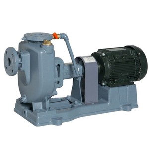 Pompe centrifuge auto-amorçante Ebara Fq4234 40Fq62.2B Corps en fonte grise Chambre de circulation en acier inoxydable 304 Origine Japon - Product Image 1
