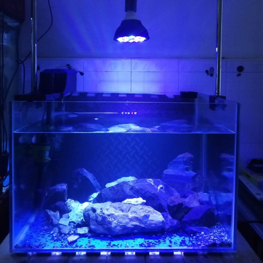 E27 15w Offre Spéciale Par38 Ampoule led lampe à eau salée a mené la lumière d'aquarium pour le récif de corail montage de réservoir de poisson