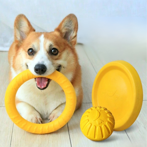 Mainan Olahraga & Latihan Ringan untuk Anjing & Kucing, Olahraga Luar Ruangan - Product Image 4