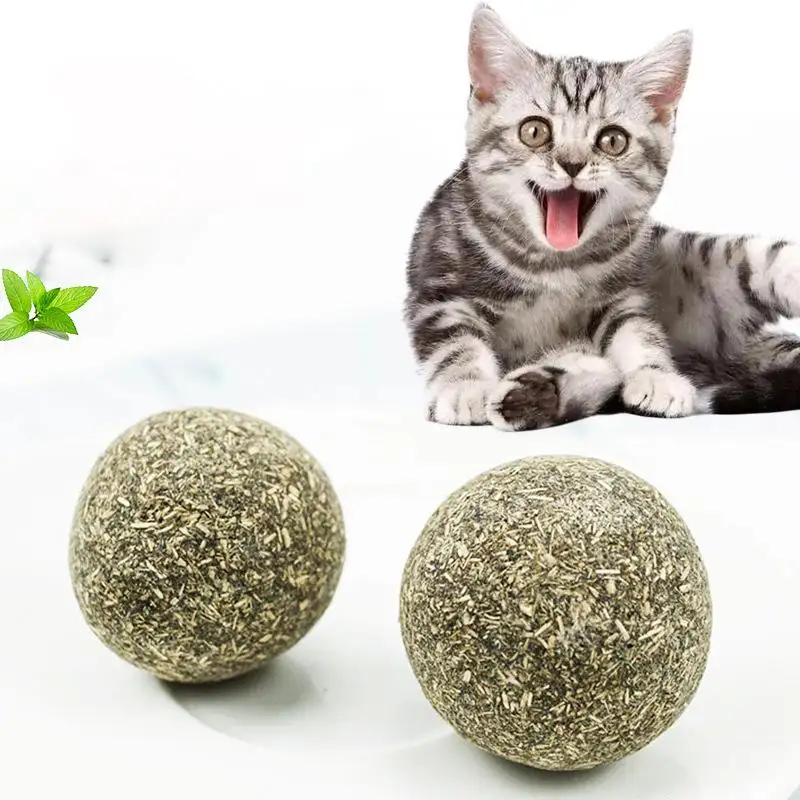 Juguetes para masticar para gatos, molares interactivos, Bola de menta para Limpieza de dientes