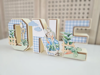 Pafu Pâques Pierre Lapin 3D Lettres Décor 1er Anniversaire Pâques Décoration En Bois