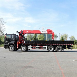 Camion-grue Shacman robuste de 25, 30 et 40 tonnes, 8x4, avec grue à bras télescopique, à vendre - Product Image 5