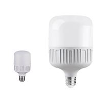 Ampoule LED YIHAN E27 avec télécommande, certifiée CE RoHS, blanc pur, 5W-60W, série T, 220V AC, pour l'éclairage intérieur de la maison et de la cuisine