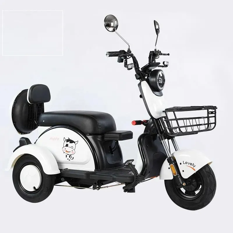 Remote control three-wheel electric bicycle 48V20AH battery electric tricycle mobility scooter