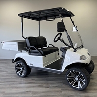 HDK EV Long Electric 48V 2 Kursi Kendaraan Utilitas Pertanian Off-Road UTV 4 Roda Mini Truk Golf Cart