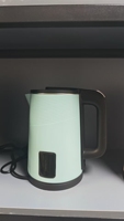 Bouilloire électrique moderne en acier inoxydable avec contrôle de la température, portable pour les hôtels, les foyers, logo personnalisable pour des idées cadeaux, 220v
