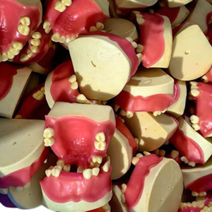 Sains medis Sinus maxsila Model gigi latihan Oral Model gigi - Product Image 2