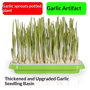 Graines de blé, herbe à chat, maltose, orge, semis de <span class=keywords><strong>seigle</strong></span>, plateau de semis, herbe à chat pour le contrôle des boules de poils - Product Image 2