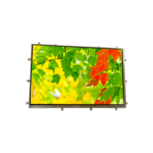 Écran LCD TFT-LCD LCM 10,1 pouces 2560RGB*1600 WQXGA 300PPI BP101QH1-100, écran LCD à prix réduit, OEM pour tablette - Product Image 1