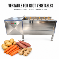 Industriële borstelrolreinigingsmachine voor het wassen en schillen van aardappelen, wortelen, cassave en zoete aardappelen, commercieel gebruik.