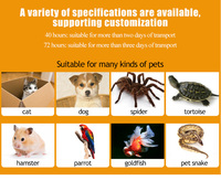 24/40 heures jetables poissons tropicaux animaux de compagnie plantes Transport expédition plus chaud Patch chaud et froid Pack de chaleur