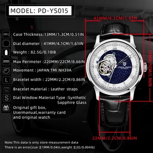Nouvelle montre automatique mécanique pour homme PAGANI DESIGN YS015, luxe, sport, 41 mm, étanche 10 bars, verre saphir NH39 - Product Image 2