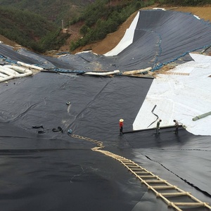 Bâche de bassin HDPE LDPE LLDPE PVC <span class=keywords><strong>EPDM</strong></span> 1mm 1.5mm 2mm Écologique Imperméable pour Bassin à poissons, Barrage, Dépose de déchets, Biodigesteur, Géomembrane - Product Image 5