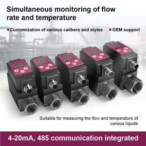 メーカー価格 カスタマイズ可能 DN8-DN25 1 L/min ±2% 精度 流量と温度を測定可能 カルマン渦流量計 - Product Image 3