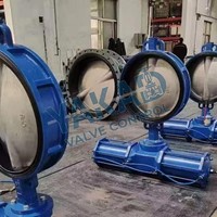 Schmetterlingsventil CF8 CF8M SS316L SS304 Lug-Typ Elektrisch Betätigt für Entsalzungsanlagen