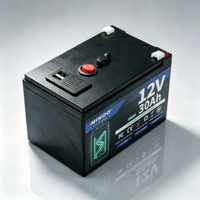 Sel Baterai Lithium Iron Phosphate LiFePO4 12V 30Ah Paket Baterai LiFePO4 48V Opsional untuk Sistem Tenaga Surya