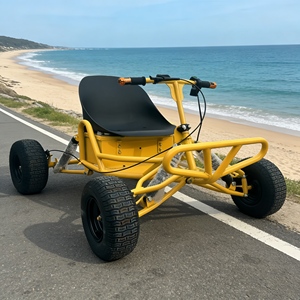 Nouvelle Arrivée : Karts à pédales confortables, à essence, et karts d'<span class=keywords><strong>occasion</strong></span> à prix abordable pour l'amusement en plein air – Offre de seconde main - Product Image 2