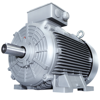 SIEMENS Innomotics IE4 1le8004 Moteurs asynchrones triphasés à basse tension AC avec classe de puissance accrue de protection IP55
