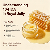 BEEHALL OEM Gelée royale fraîche, produit apicole à marque privée, emballage personnalisé, spécifications multiples 10-HDA