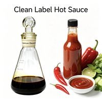 Extrait liquide de capsaïcine de qualité supérieure (sans oléorésine) pour sauces et boissons, en bouteille/fût