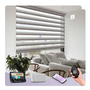 High Quality Smart Control UV Protection Blackout Light Filtering Black Color Dual Zebra Shades Combi Blinds