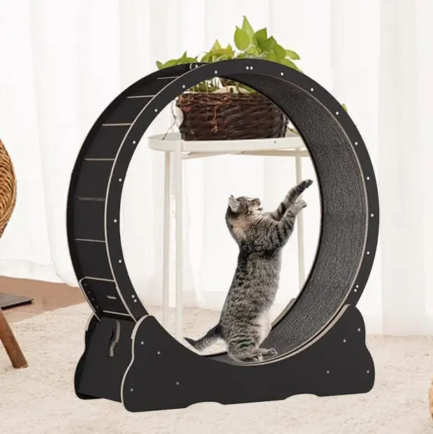 Roue d'exercice de chat de panneau de Fiber de bois roue de course avec la roue moquette de tapis roulant de Sport de chat de piste pour le chat