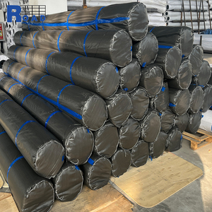 Chất lượng cao <span class=keywords><strong>polyester</strong></span> sợi thủy tinh <span class=keywords><strong>geogrid</strong></span> nhựa đường gia cố CE/ISO chứng nhận vật liệu lát - Product Image 6