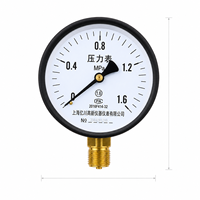 Dry General Pressure Gauge 1.6 Accuracy Grade Black Steel Case Brass Thread Connection 0-1.6MPa