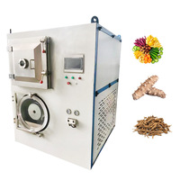 Automatische Commerciële Goedkoopste Industriële Voeding Fruit En Groente Lyofilisator Vriesdroger Lyofilisatie Machine Prijs