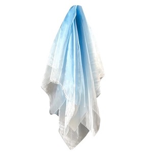 Organza Ombré <span class=keywords><strong>Indigo</strong></span>-Tissu Transparent Cristal Irisé <span class=keywords><strong>Bleu</strong></span>-Blanc pour la Couture Néo-Chinoise - Product Image 4