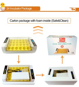 Incubateur et éclosoir automatique HHD pour reines d'abeilles, batterie de <span class=keywords><strong>couveuse</strong></span> - Product Image 6