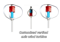 Éolienne à axe vertical Tulip 3KW 12V pour l'alimentation électrique des cabanes rurales et les systèmes hors réseau