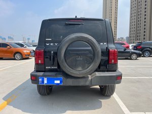 2021 Great Wall Motor Tank 300 Off-Road Versión 2,0 T Conqueror SUV Boutique de alta calidad Dirección izquierda Coche Oscuro <span class=keywords><strong>Venta</strong></span> al por mayor - Product Image 5