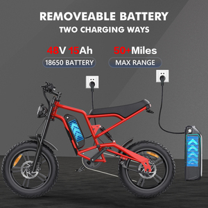 Envío Directo desde Almacenes de la UE, EE. UU. y Reino Unido, Bicicleta Eléctrica Hidoes B6 en Oferta, Bicicleta de Montaña de 48 V y 1200 W, Bicicleta Eléctrica HD-B6 de 1200 W - Product Image 2