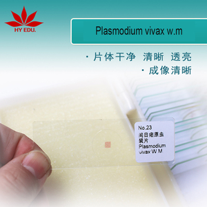 Типичный Plasmodium <span class=keywords><strong>vivax</strong></span> W.M. Стеклянный микроскоп биологический обучающий паразит подготовленные слайды - Product Image 2