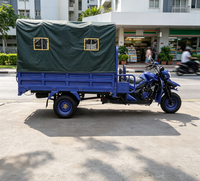Tricycle à essence puissant avec moteur sans balais, cylindrée 201 cm³, vitesse maximale 40-60 km/h, pour le transport de marchandises