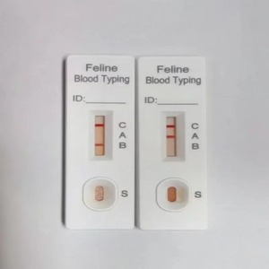Kit <span class=keywords><strong>de</strong></span> Tipificación Sanguínea Felina - Marca Winbio, Instrumento Veterinario <span class=keywords><strong>de</strong></span> Fácil Operación para <span class=keywords><strong>la</strong></span> Tipificación Sanguínea <span class=keywords><strong>de</strong></span> Mascotas <span class=keywords><strong>en</strong></span> Clínicas Veterinarias - Product Image 5