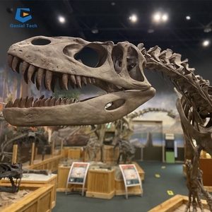 Zigong-esqueleto de <span class=keywords><strong>dinosaurio</strong></span>, réplica de <span class=keywords><strong>huesos</strong></span> de <span class=keywords><strong>dinosaurio</strong></span> - Product Image 3