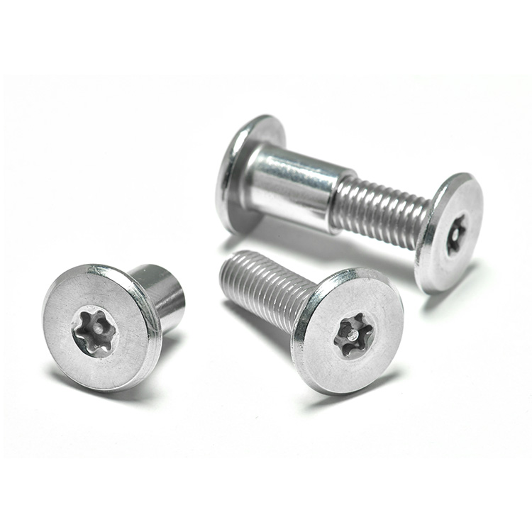 M3 M4 M5 M6 M8 M10 M12 Stainless Steel 304 Wood Furniture Metal Sheet Book Leather Rivet Barrel Nut Torx Pin Chicago Scr