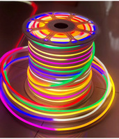 Bande Néon LED Flexible Étanche Multicolore, 12V 24V 110V 220V, SMD2835, 120 LED/m, en Rouleau de 50m ou 100m
