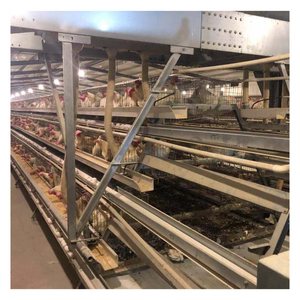 Modern Tasarım Pil Güçlü Yumurtacı Tavuklar İçin Kümes Ekipmanları Tavuk Kafesi Satılık - Product Image 5