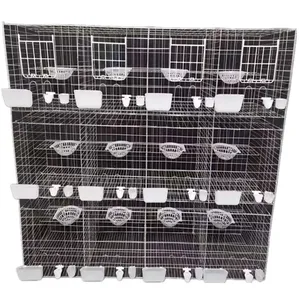 Vente chaude Cage à pigeons d'élevage durable Cage à pigeons bon marché Vente