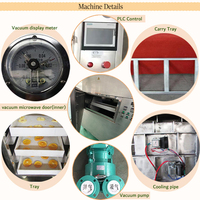Industriële Commerciële Magnetron Vacuümdroger Voor Coco Baobab Olie Palm American Agave Fresia Lavendel Mint Gember Knoflook