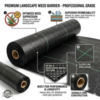 Toile de paillage noire en PP tissé pour le contrôle des adventices, idéale pour le jardinage, l'agriculture et la protection des plantes