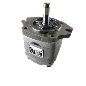 Hydraulische Zahnradpumpe der Serie IGH IGM <span class=keywords><strong>IGC</strong></span> CM: <span class=keywords><strong>IGC</strong></span>-4F-32-R, IGM-5F-50-R-21, IGP4-H025, IGM-6E-125, IGM-6E-100 - Product Image 4