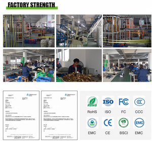 Le matériel de polyester de 50mm de prix usine peut être adapté aux besoins du client pour le chargement de cargaison avec la boucle de cliquet et la fixation de boucle de ceinture - Product Image 2