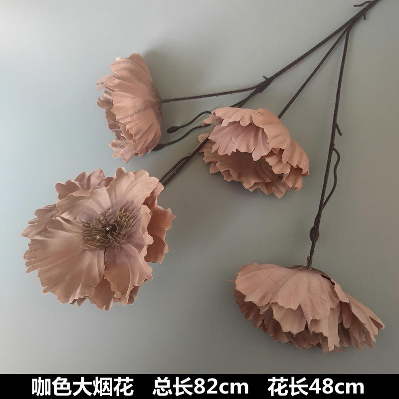 Gros feux d'artifice