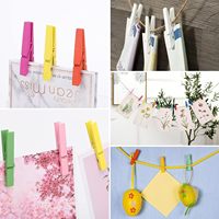 Stocks de gros Photo artisanat projet de bricolage tailles de variétés personnalisées pinces en bois colorées Mini épingles à linge petites pinces à linge en bois