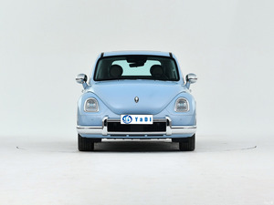 Véhicule à énergie nouvelle <span class=keywords><strong>Ora</strong></span> Ballet <span class=keywords><strong>Cat</strong></span> Hatchback, très demandé - Product Image 4